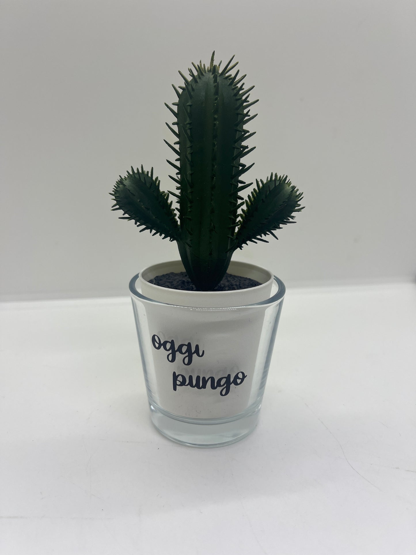 Vaso per pianta grassa con spine oggi pungo