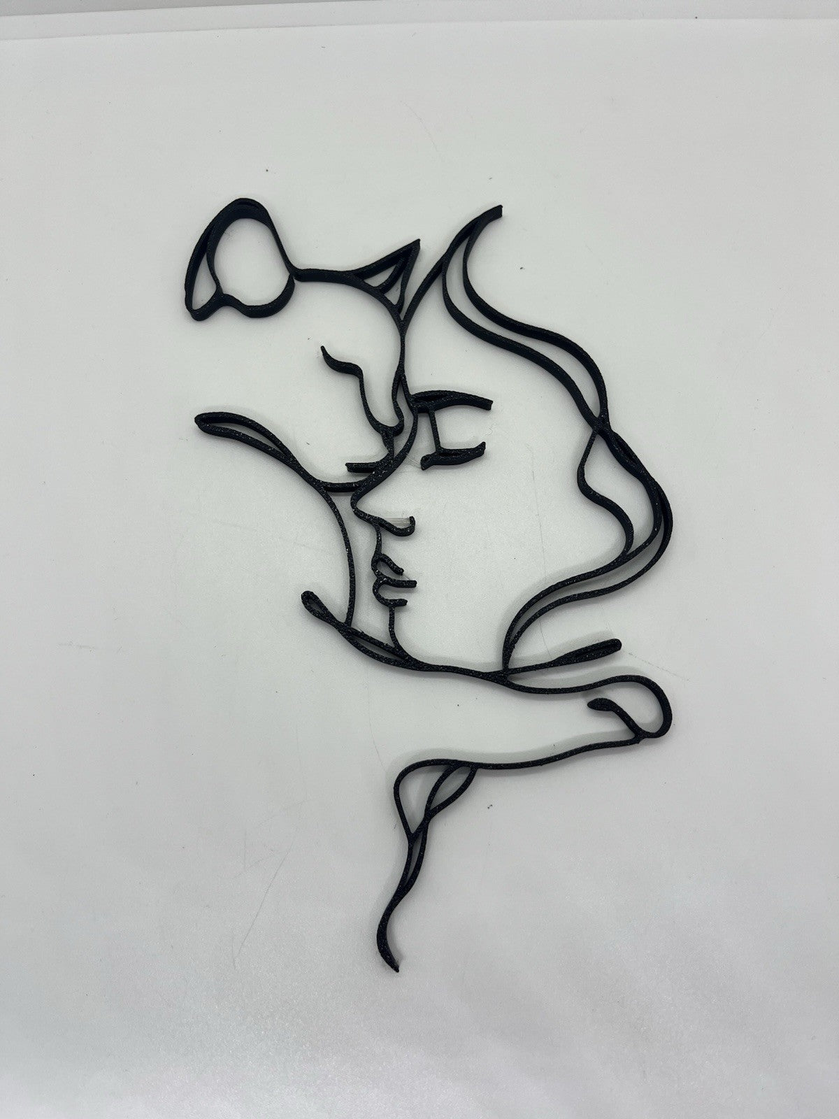 decorazione da parete wall art arte da muro casa gatto e umana cats PLA