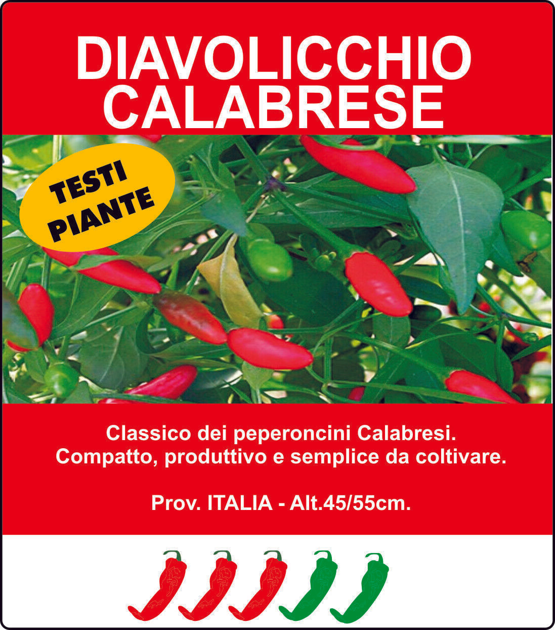 PEPERONCINO PICCANTE DIAVOLICCHIO CALABRESE ALTA QUALITÀ VASO 14