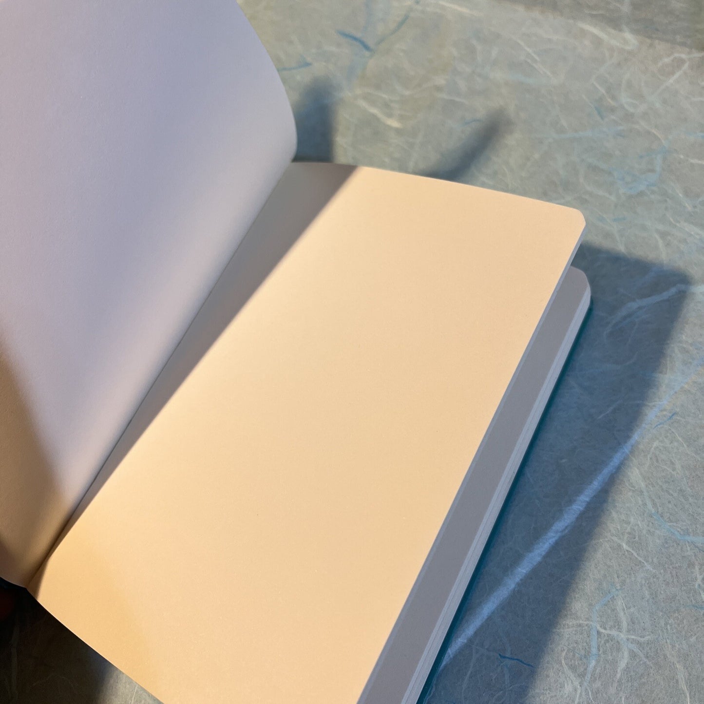 AGENDA APPUNTI NOTEBOOK IO TI MALEDICO 9,5x13,5 PAG BIANCHE SCRITTA DIVERTENTE