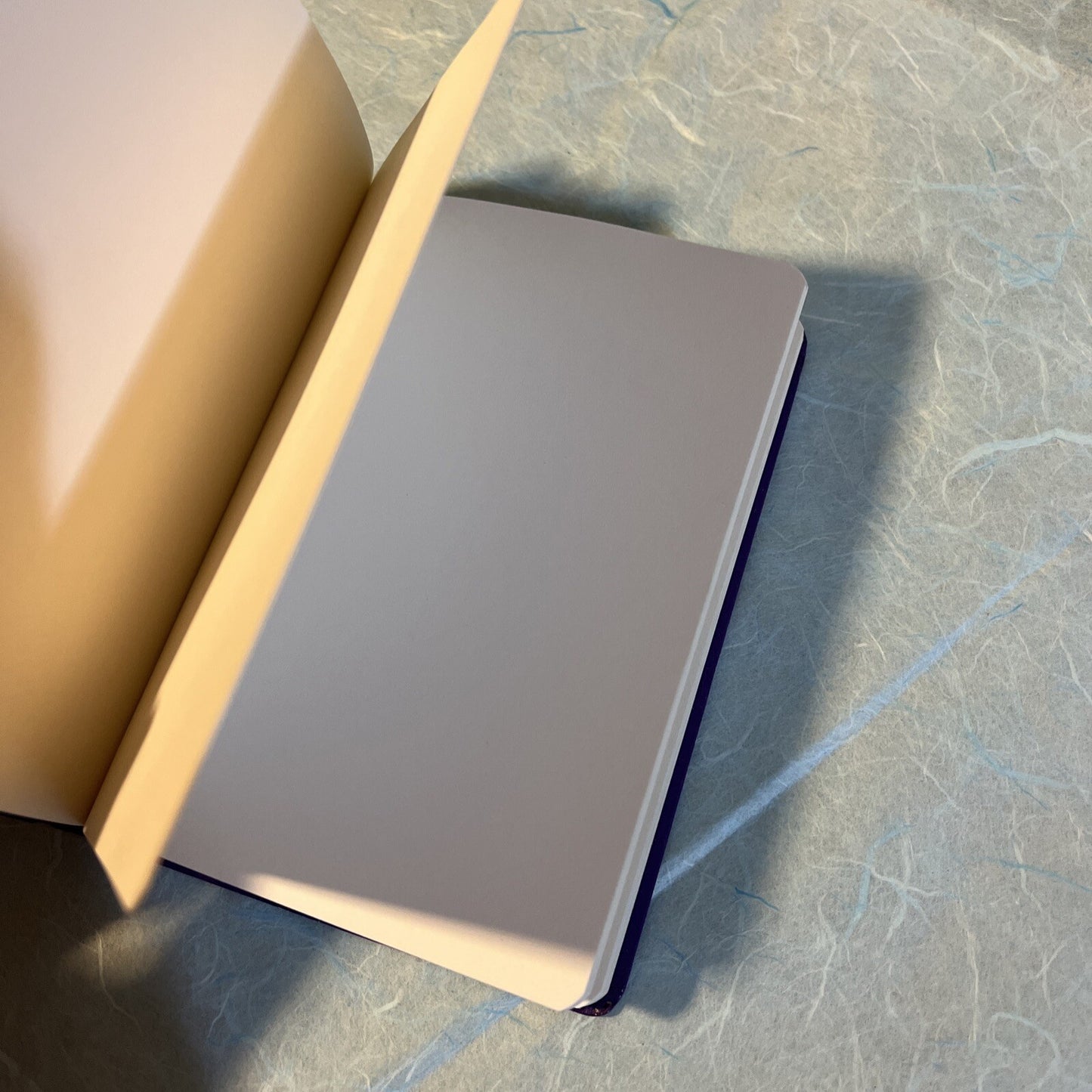 AGENDA APPUNTI NOTEBOOK IO TI MALEDICO 9,5x13,5 PAG BIANCHE SCRITTA DIVERTENTE